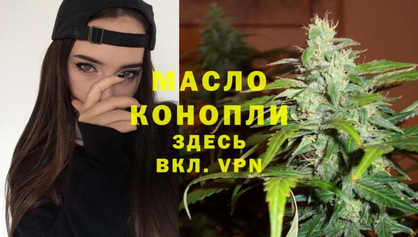 молекула духа Майский