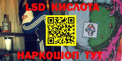 шишки Новозыбков