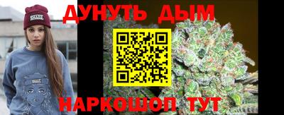 шишки Новозыбков