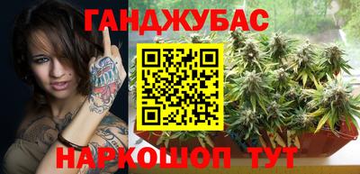 шишки Новозыбков