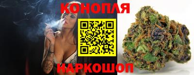 шишки Новозыбков