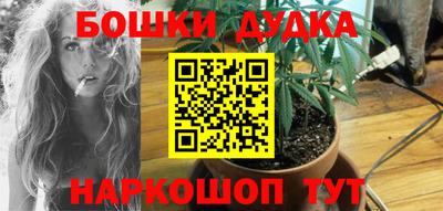 шишки Новозыбков