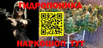 шишки Новозыбков