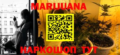 трава Новокубанск