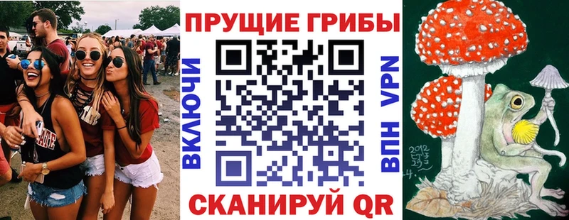 где найти   Мегион  блэк спрут сайт  Псилоцибиновые грибы Cubensis 