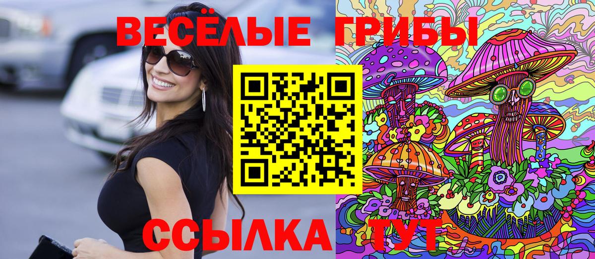 Галлюциногенные грибы Cubensis  Мегион 