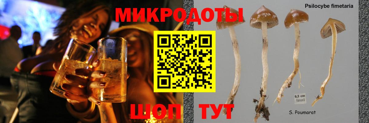 Псилоцибиновые грибы мухоморы  Вход с VPN  Мегион  Галлюциногенные грибы MAGIC MUSHROOMS 